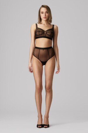 Murmur Sculp Sheer Panties